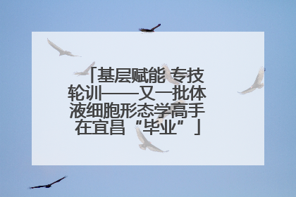 基层赋能 专技轮训——又一批体液细胞形态学高手在宜昌“毕业”