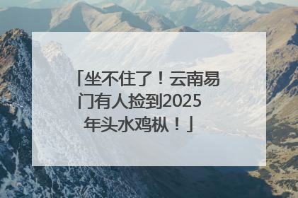 坐不住了！云南易门有人捡到2025年头水鸡枞！