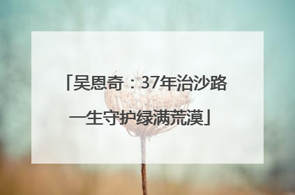 吴恩奇：37年治沙路 一生守护绿满荒漠