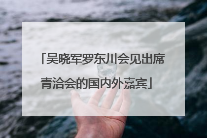 吴晓军罗东川会见出席青洽会的国内外嘉宾