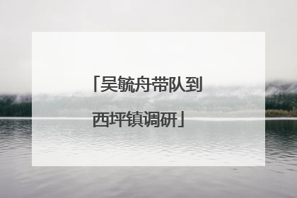 吴毓舟带队到西坪镇调研