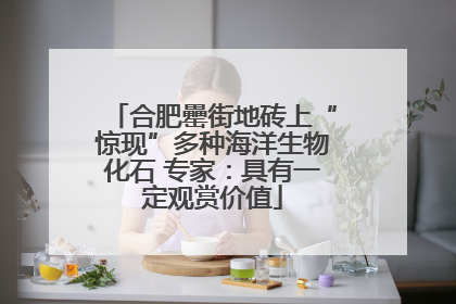 合肥罍街地砖上“惊现”多种海洋生物化石 专家：具有一定观赏价值