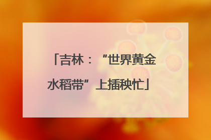 吉林：“世界黄金水稻带”上插秧忙