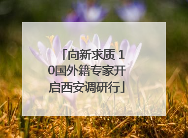 向新求质 10国外籍专家开启西安调研行