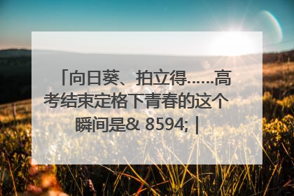向日葵、拍立得……高考结束定格下青春的这个瞬间是& 8594;｜2025四川高考