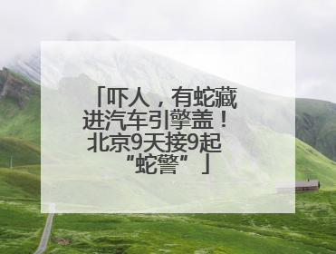 吓人，有蛇藏进汽车引擎盖！北京9天接9起“蛇警”