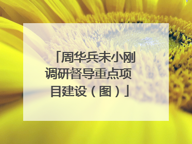 周华兵未小刚调研督导重点项目建设（图）