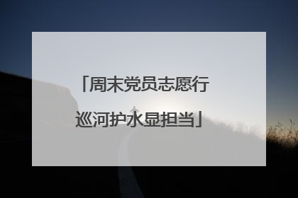 周末党员志愿行 巡河护水显担当