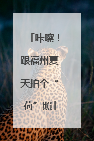 咔嚓！跟福州夏天拍个“荷”照