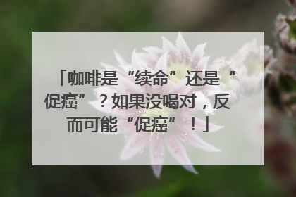 咖啡是“续命”还是“促癌”？如果没喝对，反而可能“促癌”！