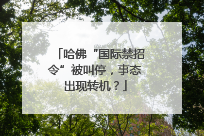 哈佛“国际禁招令”被叫停，事态出现转机？