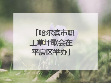 哈尔滨市职工草坪歌会在平房区举办