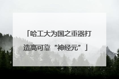 哈工大为国之重器打造高可靠“神经元”