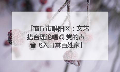 商丘市睢阳区：文艺搭台理论唱戏 党的声音飞入寻常百姓家