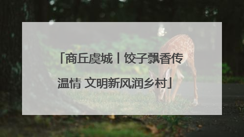 商丘虞城丨饺子飘香传温情 文明新风润乡村