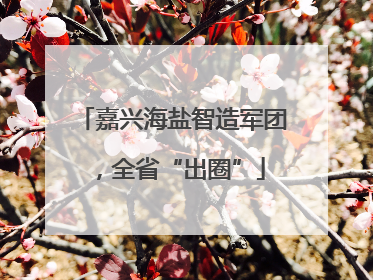 嘉兴海盐智造军团，全省“出圈”