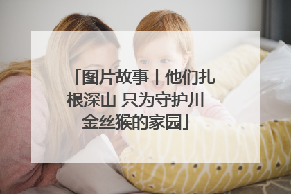 图片故事丨他们扎根深山 只为守护川金丝猴的家园