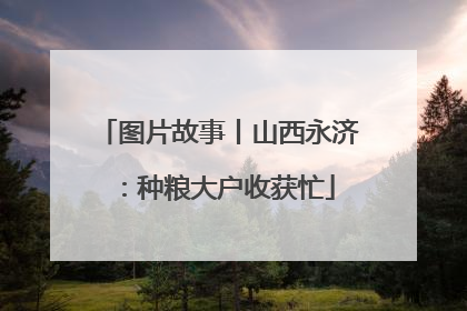 图片故事丨山西永济：种粮大户收获忙
