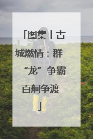 图集丨古城燃情：群“龙”争霸 百舸争渡