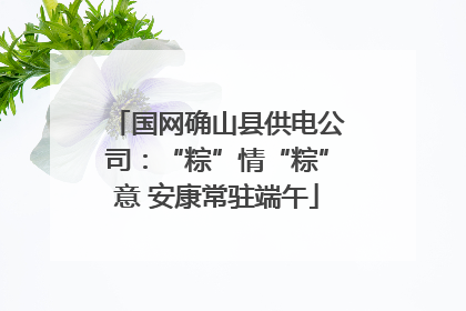 国网确山县供电公司：“粽”情“粽”意 安康常驻端午