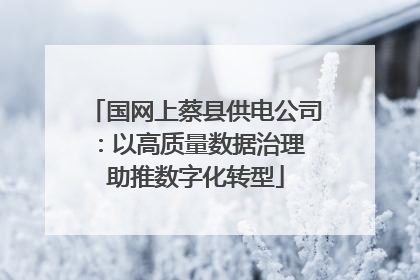 国网上蔡县供电公司：以高质量数据治理 助推数字化转型