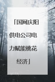 国网庆阳供电公司电力赋能桃花经济