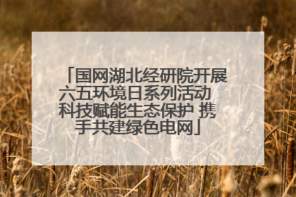 国网湖北经研院开展六五环境日系列活动 科技赋能生态保护 携手共建绿色电网