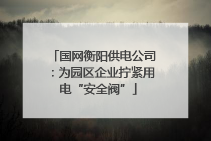 国网衡阳供电公司：为园区企业拧紧用电“安全阀”