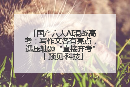 国产六大AI混战高考：写作文各有亮点，遇压轴题“直接弃考”丨预见·科技