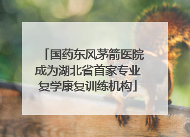 国药东风茅箭医院成为湖北省首家专业复学康复训练机构