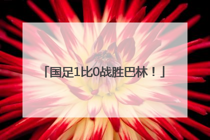 国足1比0战胜巴林！