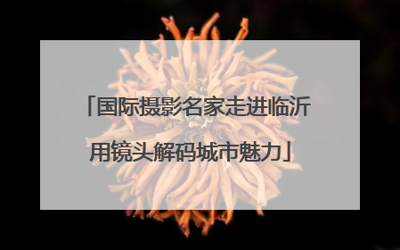 国际摄影名家走进临沂 用镜头解码城市魅力
