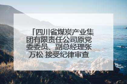 四川省煤炭产业集团有限责任公司原党委委员、副总经理张万松 接受纪律审查和监察调查