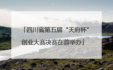 四川省第五届“天府杯”创业大赛决赛在蓉举办