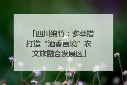 四川绵竹：多举措打造“酒香画境”农文旅融合发展区