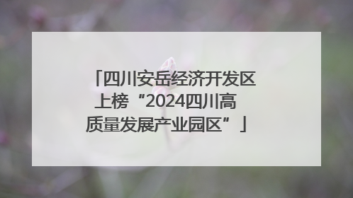 四川安岳经济开发区上榜“2024四川高质量发展产业园区”