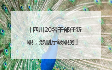 四川20名干部任新职，涉副厅级职务