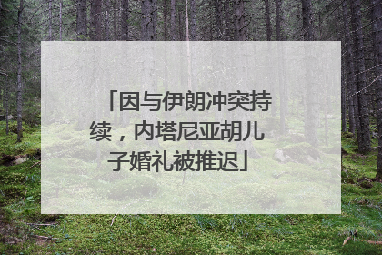 因与伊朗冲突持续，内塔尼亚胡儿子婚礼被推迟