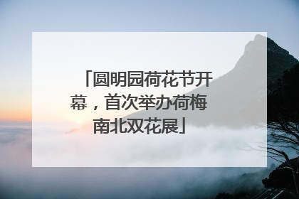 圆明园荷花节开幕，首次举办荷梅南北双花展