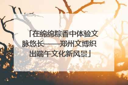 在绵绵粽香中体验文脉悠长——郑州文博织出端午文化新风景