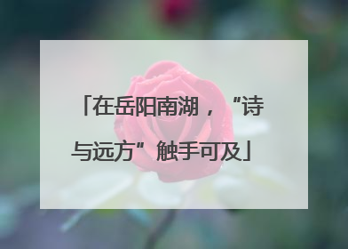 在岳阳南湖，“诗与远方”触手可及