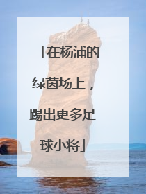 在杨浦的绿茵场上，踢出更多足球小将