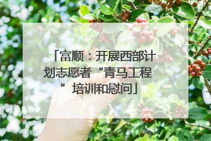 富顺：开展西部计划志愿者“青马工程”培训和慰问