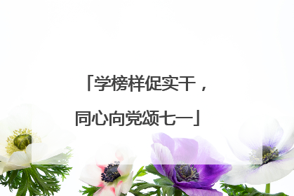 学榜样促实干，同心向党颂七一