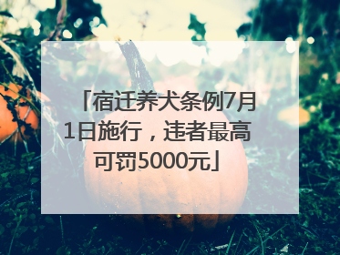 宿迁养犬条例7月1日施行，违者最高可罚5000元