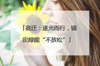宿迁：逐光而行，锚定绿能“不放松”