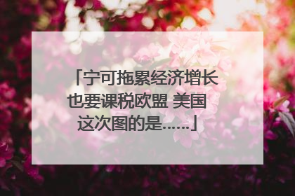 宁可拖累经济增长也要课税欧盟 美国这次图的是……