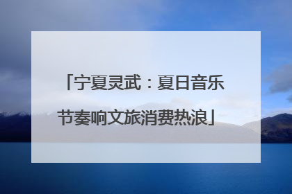 宁夏灵武：夏日音乐节奏响文旅消费热浪