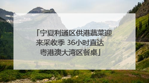 宁夏利通区供港蔬菜迎来采收季 36小时直达粤港澳大湾区餐桌