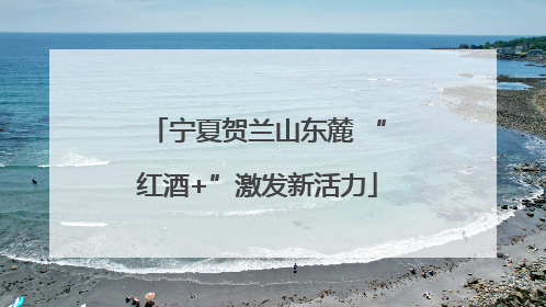 宁夏贺兰山东麓 “红酒+”激发新活力